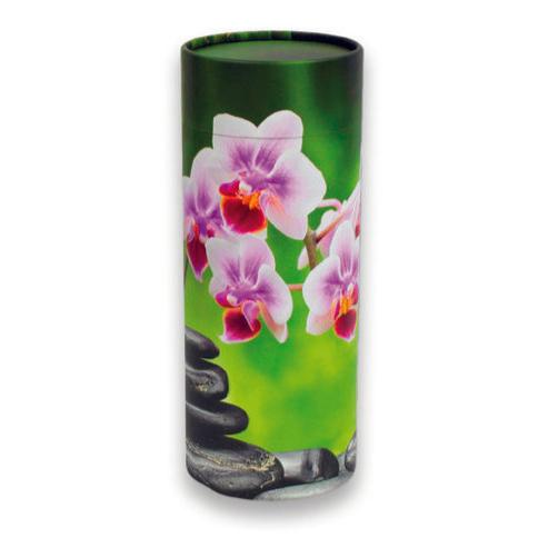 Scattering Urn Orchid